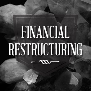 Highlights for Financial Restructuring of our services