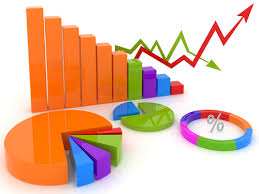 MIS reporting and statutory compliance including income tax, company law, RBI rules & regulations and secretarial compliance