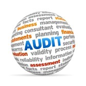 Statutory Audit